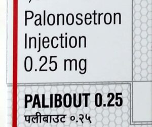 PALIBOUT 0.25