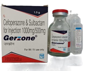 Gerzone 1000mg/500mg Injection